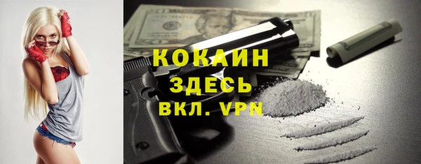 эйфоретик Покачи
