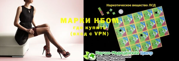эйфоретик Покачи