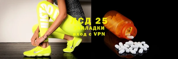 эйфоретик Покачи