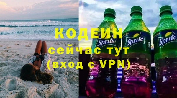 эйфоретик Покачи