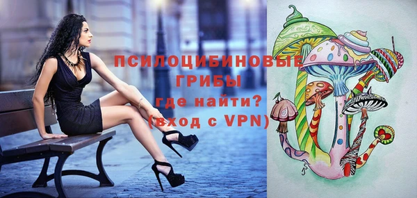 эйфоретик Покачи