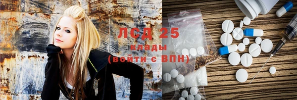 эйфоретик Покачи