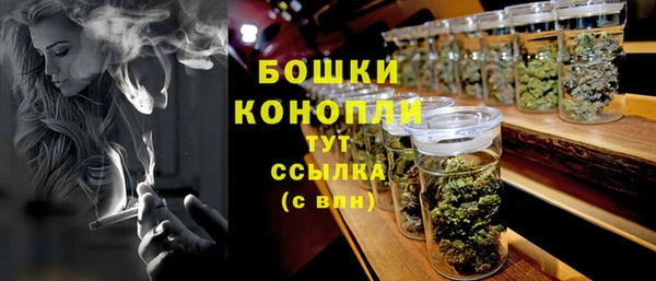 эйфоретик Покачи
