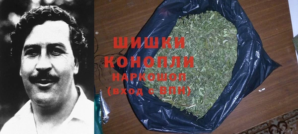 эйфоретик Покачи